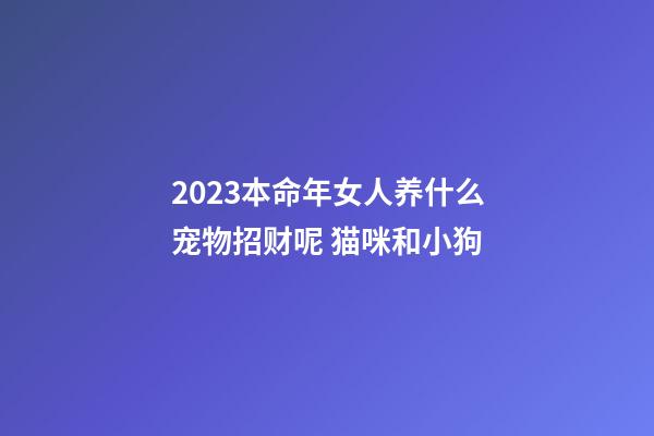 2023本命年女人养什么宠物招财呢 猫咪和小狗